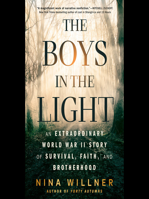 Title details for The Boys in the Light by Nina Willner - Wait list